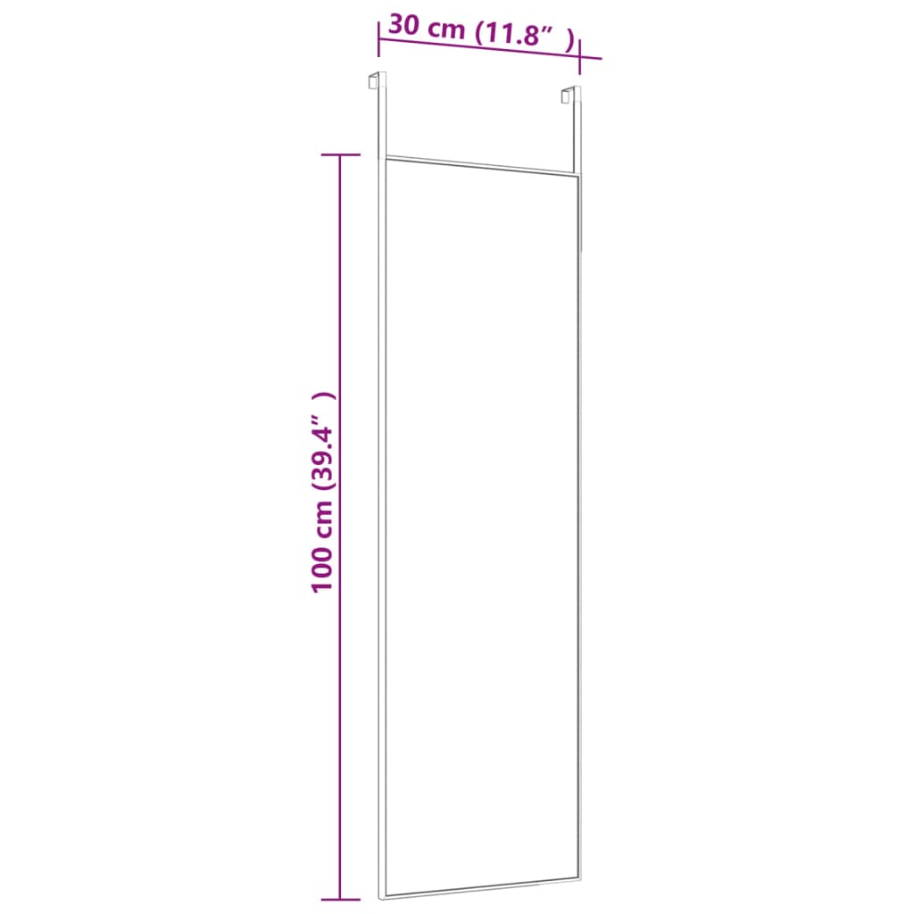 vidaXL Door Mirror Black 30x100 cm Glass and Aluminium