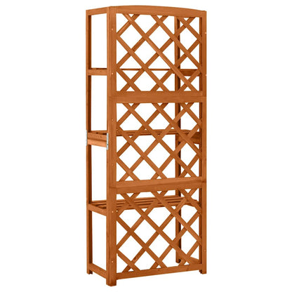 316409 vidaXL Trellis with Shelves 55x30x140 cm Solid Fir Wood