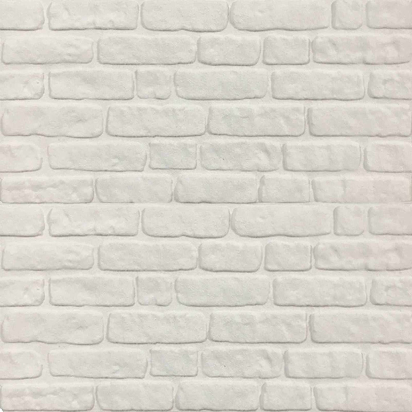 vidaXL Wall Panels 10 pcs White 100 x 50 cm EPS Foam