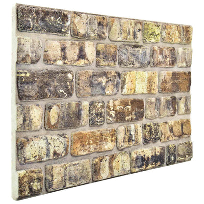 vidaXL Wall Panels 10 pcs Multicolour 100 x 50 cm EPS Foam