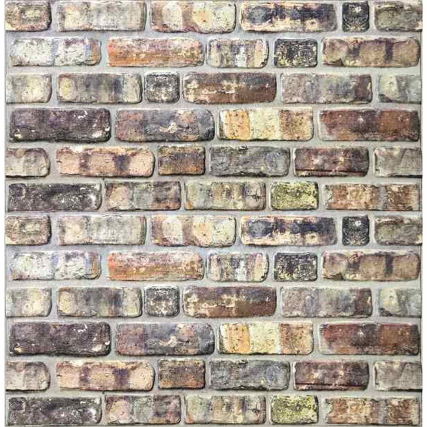 vidaXL Wall Panels 10 pcs Multicolour 100 x 50 cm EPS Foam