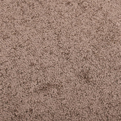vidaXL Doormat  Brown 60x80 cm