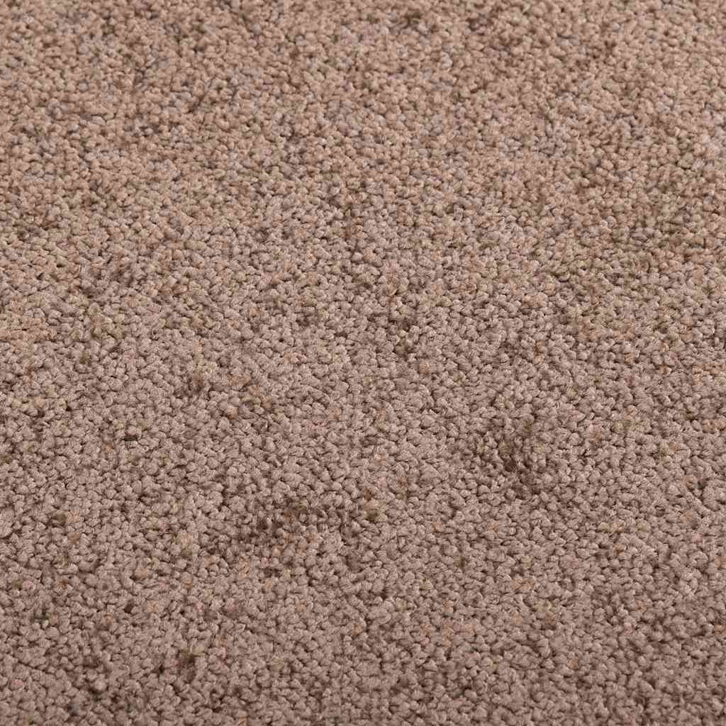 vidaXL Doormat Brown 60x80 cm