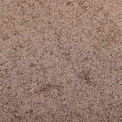 vidaXL Doormat Brown 60x80 cm