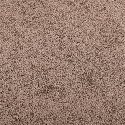vidaXL Doormat Brown 80x120 cm