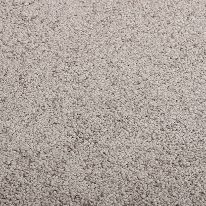 vidaXL Doormat Grey 60x80 cm
