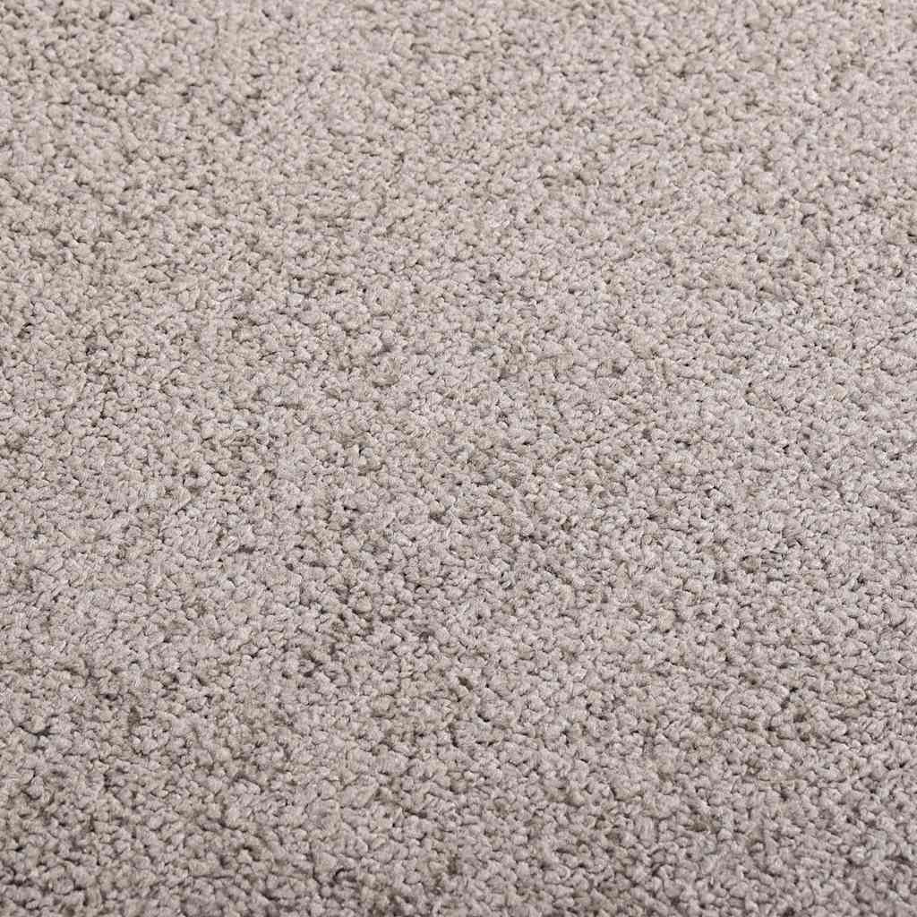 vidaXL Doormat Grey 60x80 cm