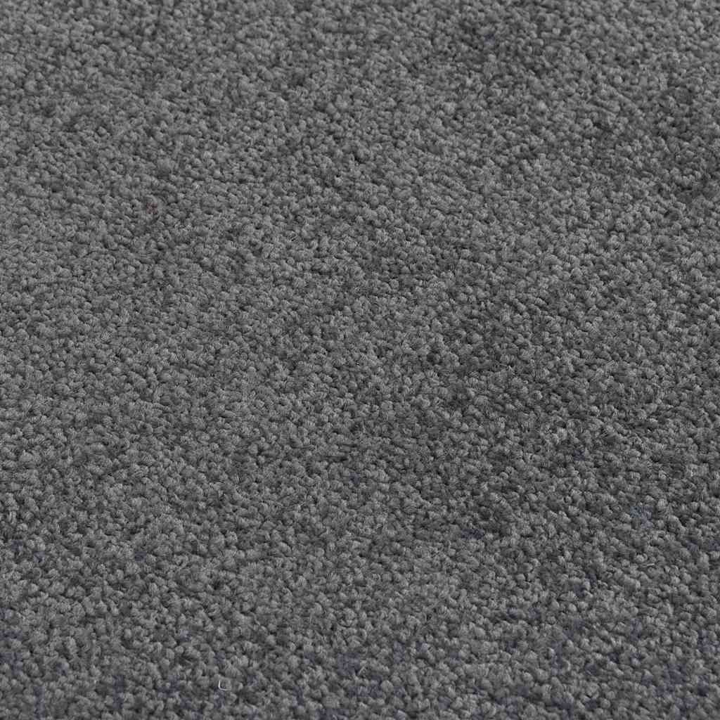 vidaXL Doormat Anthracite 40x60 cm