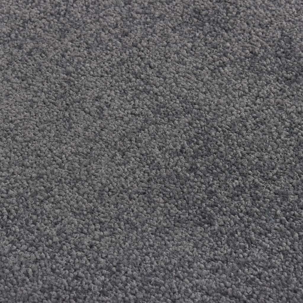 vidaXL Doormat Anthracite 60x80 cm