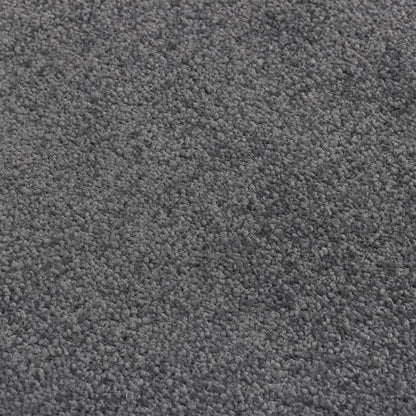 vidaXL Doormat Anthracite 60x80 cm