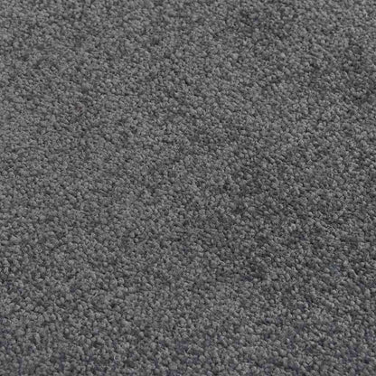 vidaXL Doormat Anthracite 60x80 cm