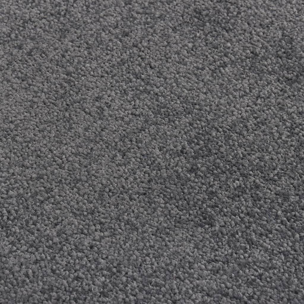 vidaXL Doormat Anthracite 80x120 cm