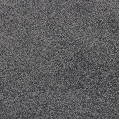 vidaXL Doormat Anthracite 80x120 cm