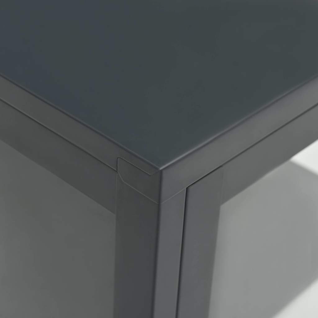 336063 vidaXL Sideboard Anthracite 38x35x70 cm Steel and Glass
