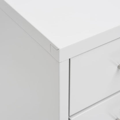 vidaXL Mobile File Cabinet Grey 28x41x109 cm Metal