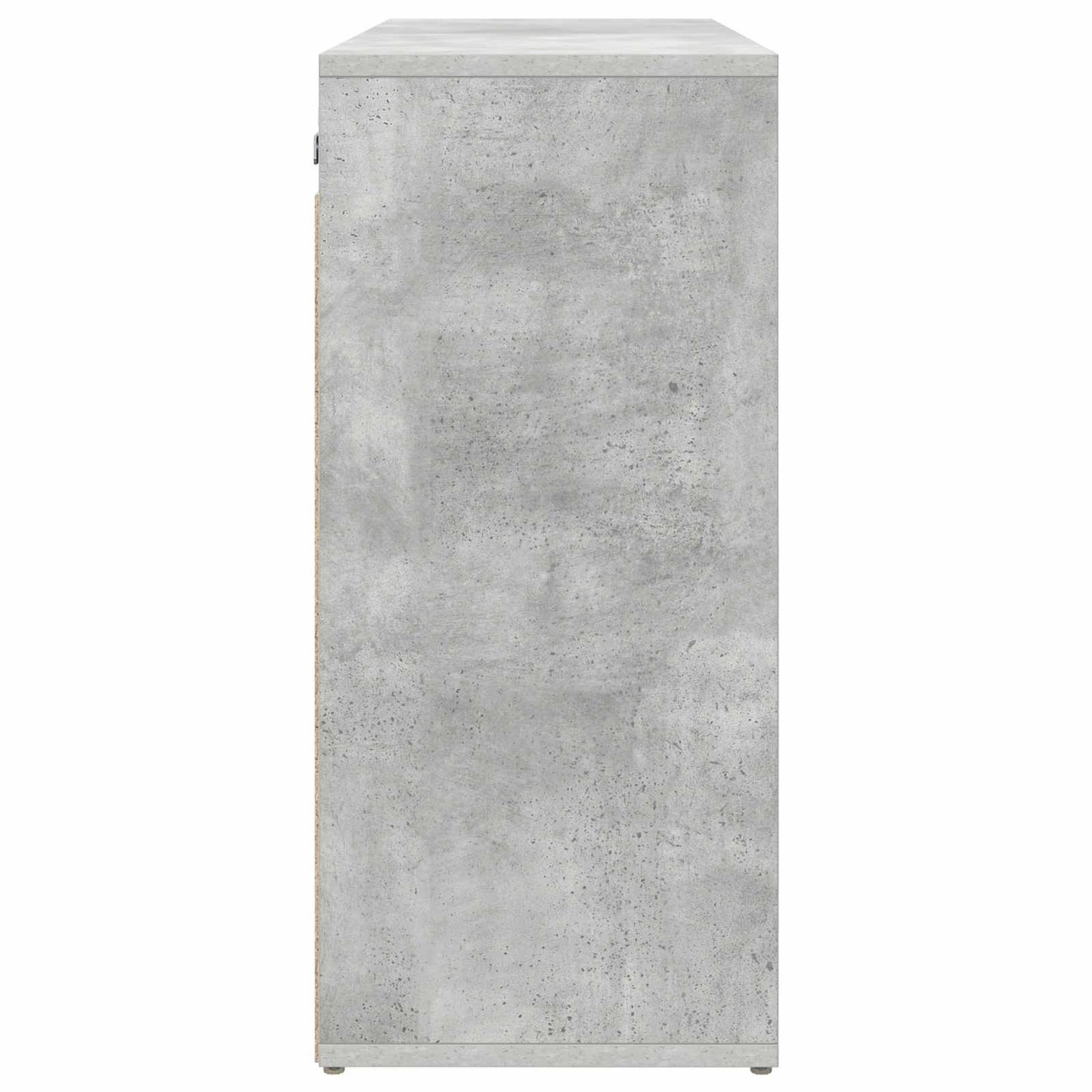 vidaXL Shoe Cabinet 77.5 x 30 x 67 cm Engineered Wood Concrete grey