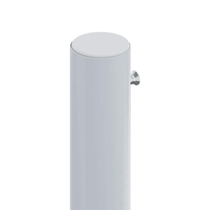 vidaXL Retractable Side Awning Red 220x600 cm