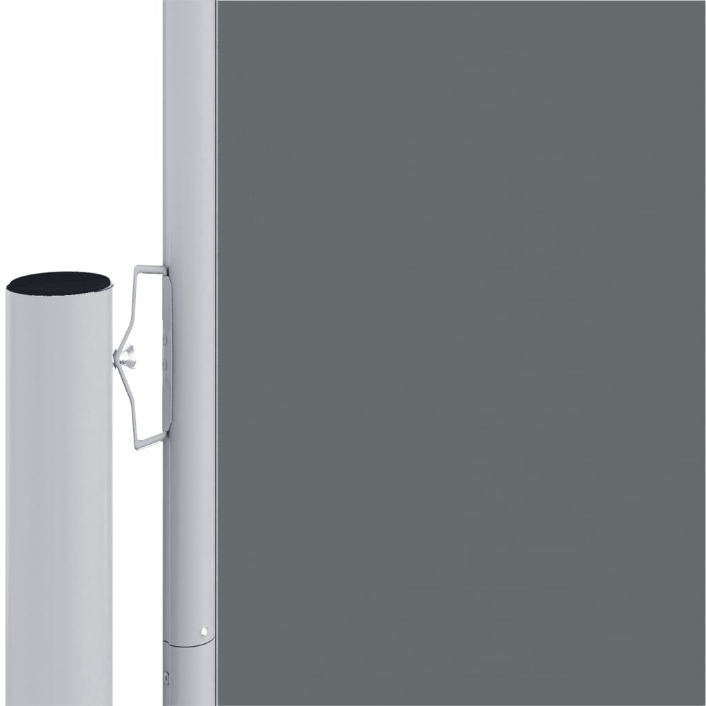 vidaXL Retractable Side Awning Anthracite 220x1000 cm