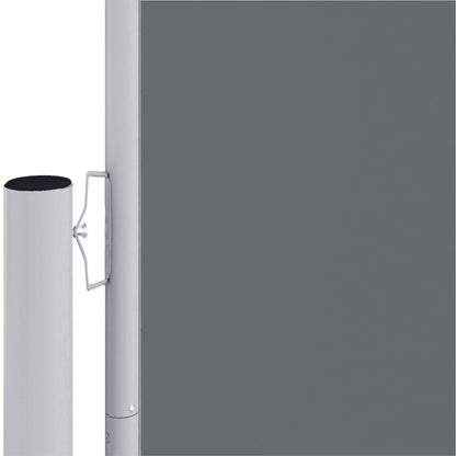 vidaXL Retractable Side Awning Anthracite 220x1000 cm