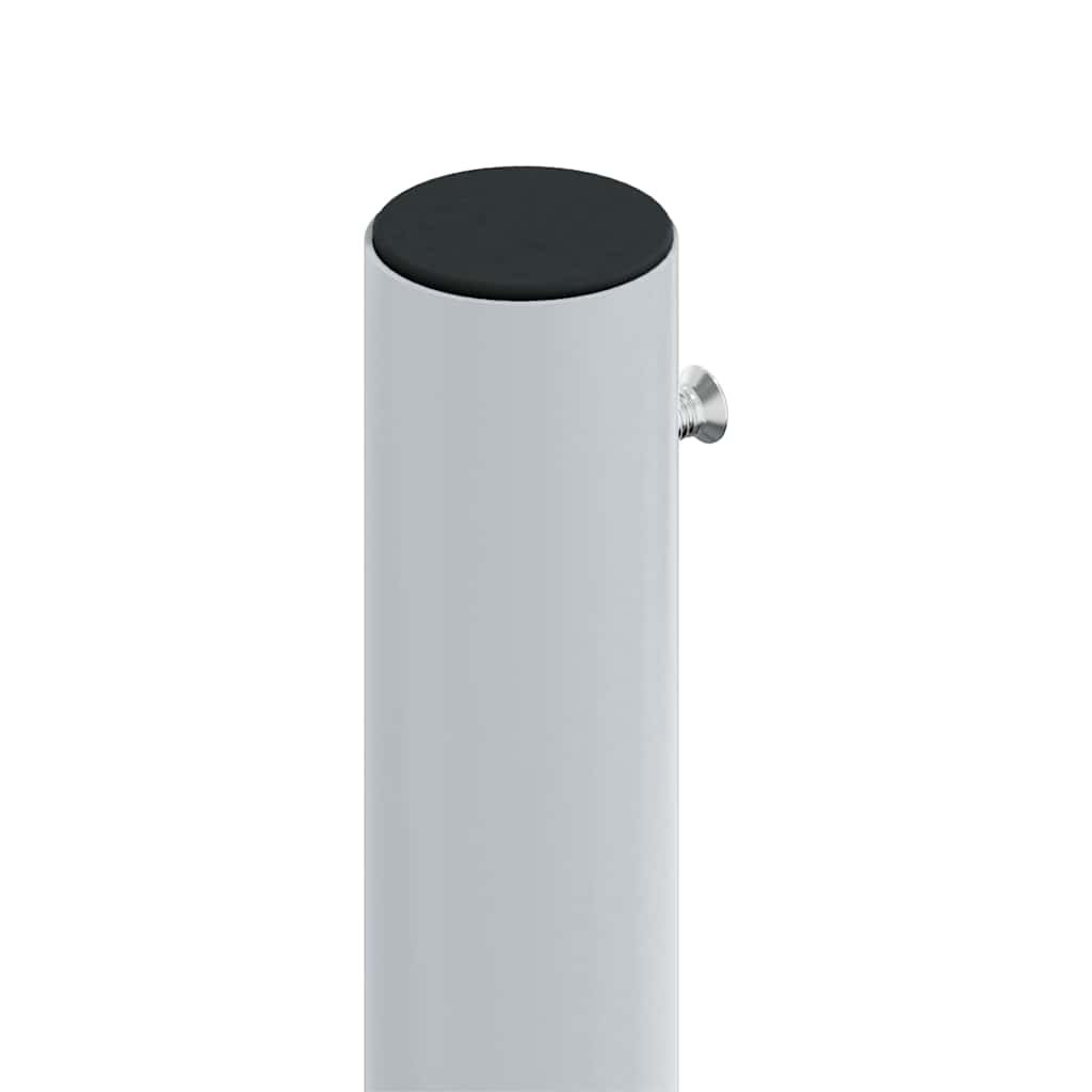 318050 vidaXL Retractable Side Awning Anthracite 220x1000 cm