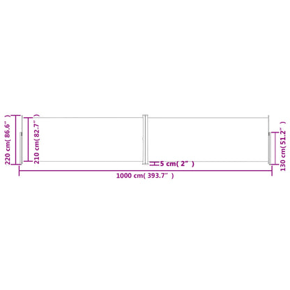 vidaXL Retractable Side Awning Anthracite 220x1000 cm