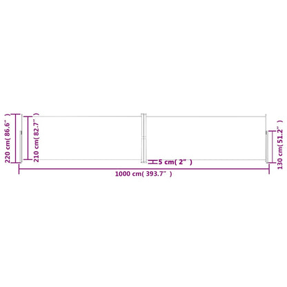 318050 vidaXL Retractable Side Awning Anthracite 220x1000 cm