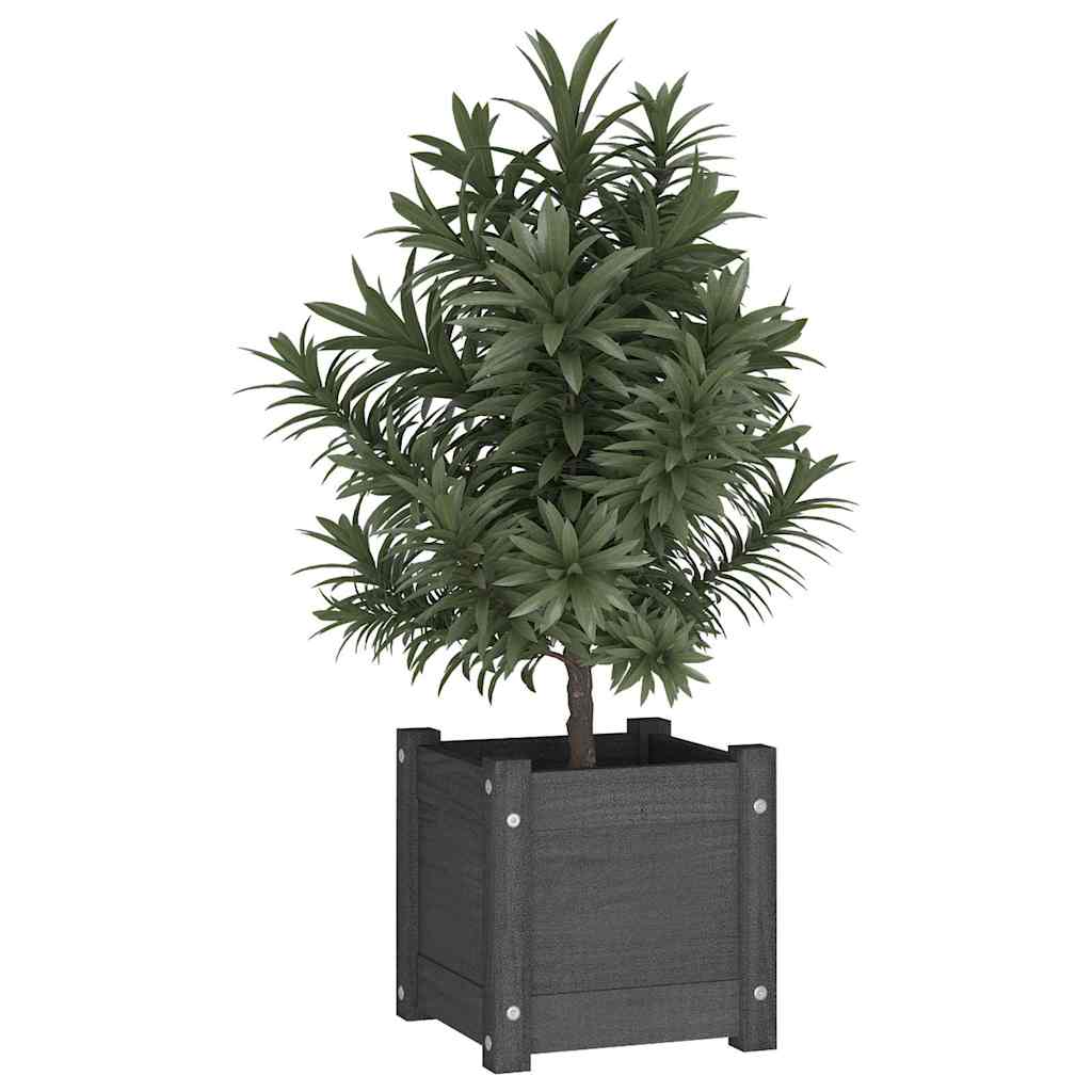 810527 vidaXL Garden Planters 2 pcs Grey 31x31x31 cm Solid Wood Pine