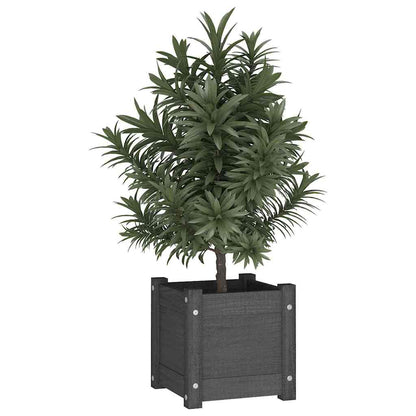 810527 vidaXL Garden Planters 2 pcs Grey 31x31x31 cm Solid Wood Pine