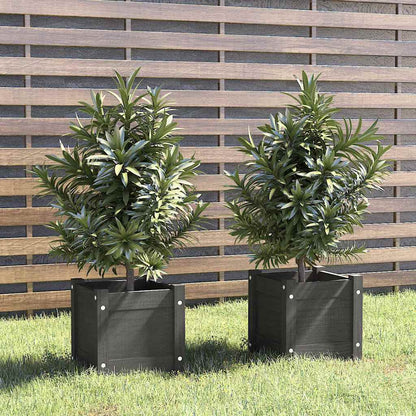 810527 vidaXL Garden Planters 2 pcs Grey 31x31x31 cm Solid Wood Pine