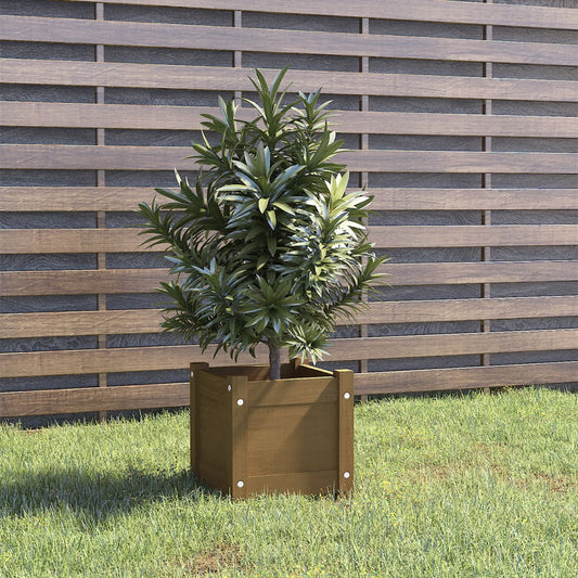 vidaXL Garden Planter Honey Brown 31x31x31 cm Solid Pinewood