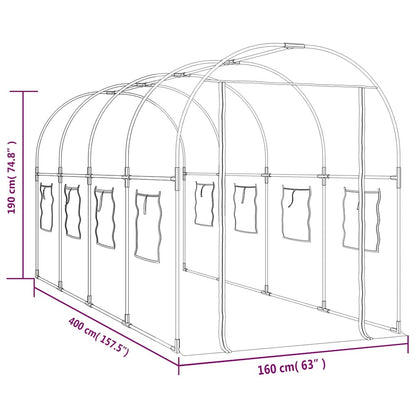vidaXL Greenhouse | Transparent | PVC and Powder-coated Steel | Large