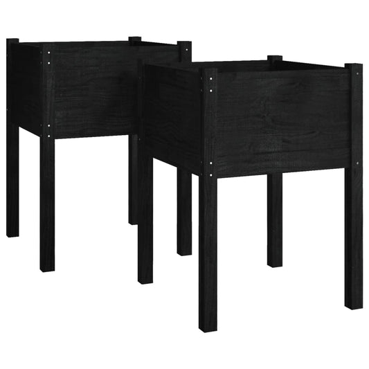 vidaXL Garden Planters 2 pcs Black 50x50x70 cm Solid Pinewood