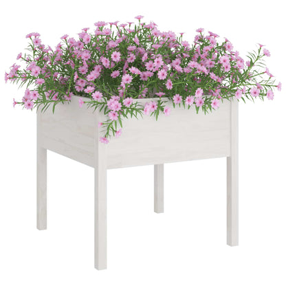 vidaXL Garden Planters 2 pcs White 70x70x70 cm Solid Pinewood