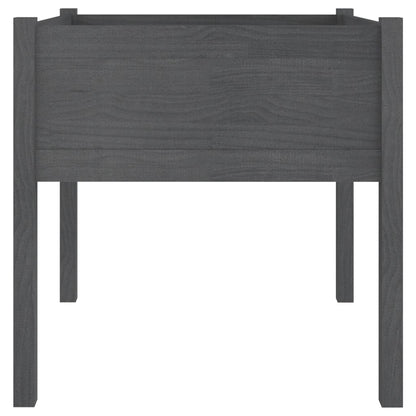 vidaXL Garden Planters 2 pcs Grey 70x70x70 cm Solid Pinewood