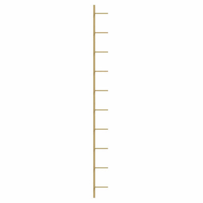 340907 vidaXL Wall-mounted Wine Rack for 10 Bottles 2 pcs Gold Metal