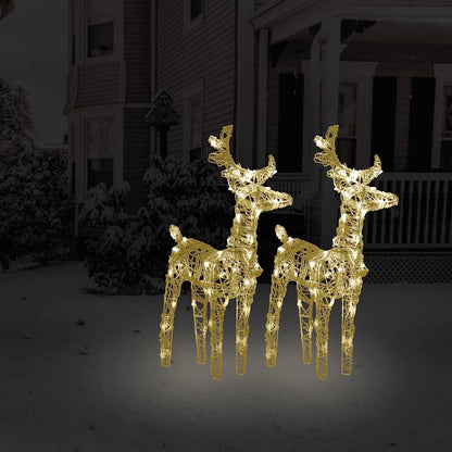 vidaXL Christmas Reindeers 2 pcs Warm White 80 LEDs Acrylic