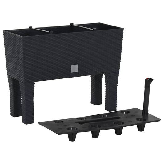 152208 vidaXL Raised Garden Bed Anthracite 60x25x46 cm PP Rattan