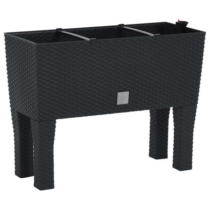 152208 vidaXL Raised Garden Bed Anthracite 60x25x46 cm PP Rattan