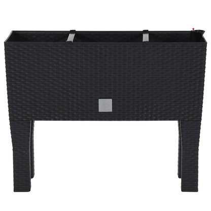 152208 vidaXL Raised Garden Bed Anthracite 60x25x46 cm PP Rattan
