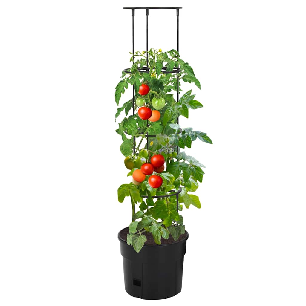 vidaXL Tomato Grower Anthracite Ø29,5x115 cm Polypropylene