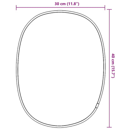 vidaXL Wall Mirror Silver 40x30 cm