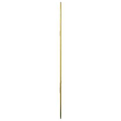 vidaXL Wall Mirror Gold 50x35 cm