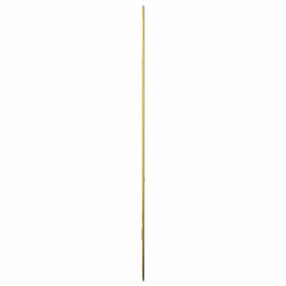 vidaXL Wall Mirror Gold 70x45 cm