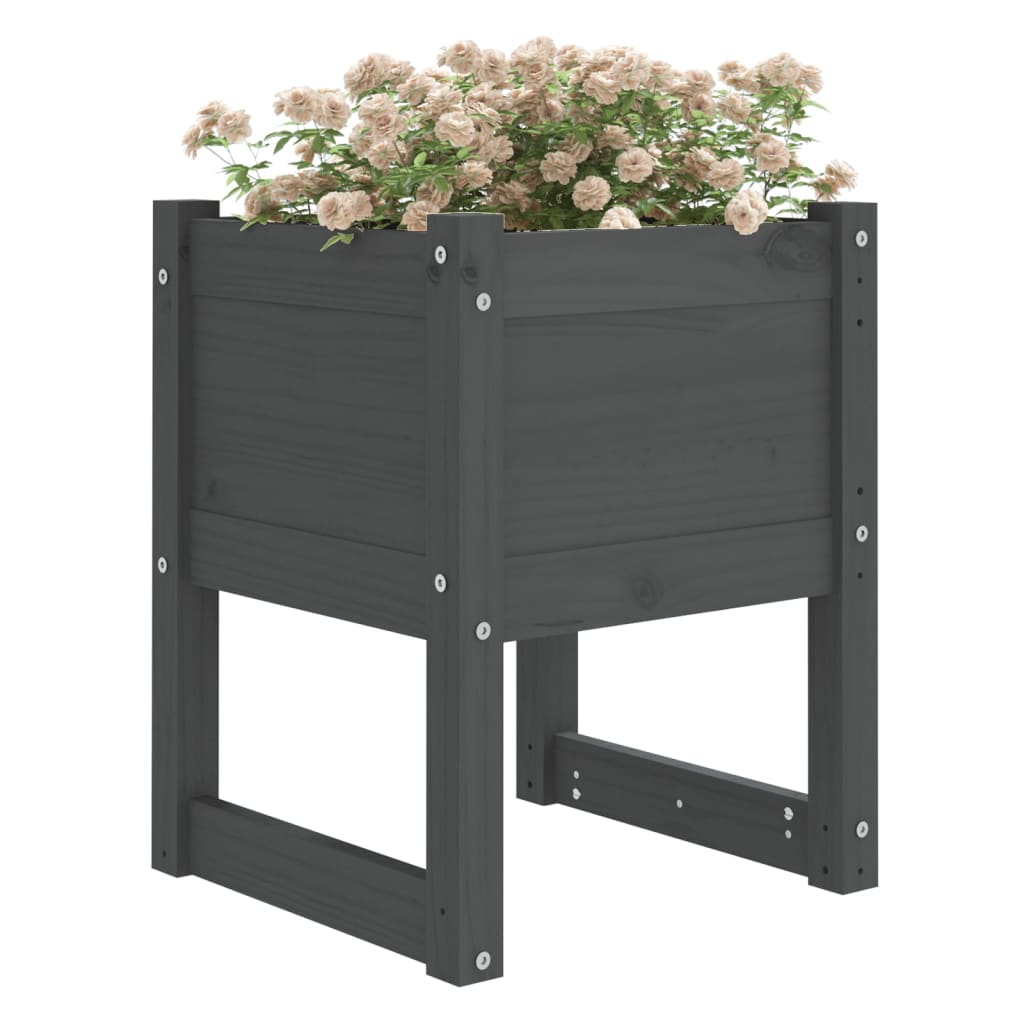vidaXL Planters 2 pcs Grey 40x40x52.5 cm Solid Wood Pine