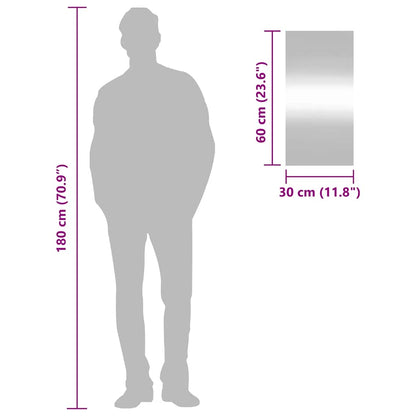vidaXL Wall Mirror 30x60 cm Glass Rectangle