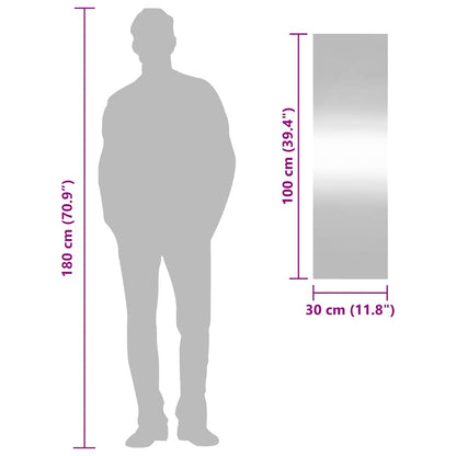 vidaXL Wall Mirror 30x100 cm Glass Rectangle