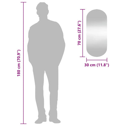 vidaXL Wall Mirror 30x70 cm Glass Oval