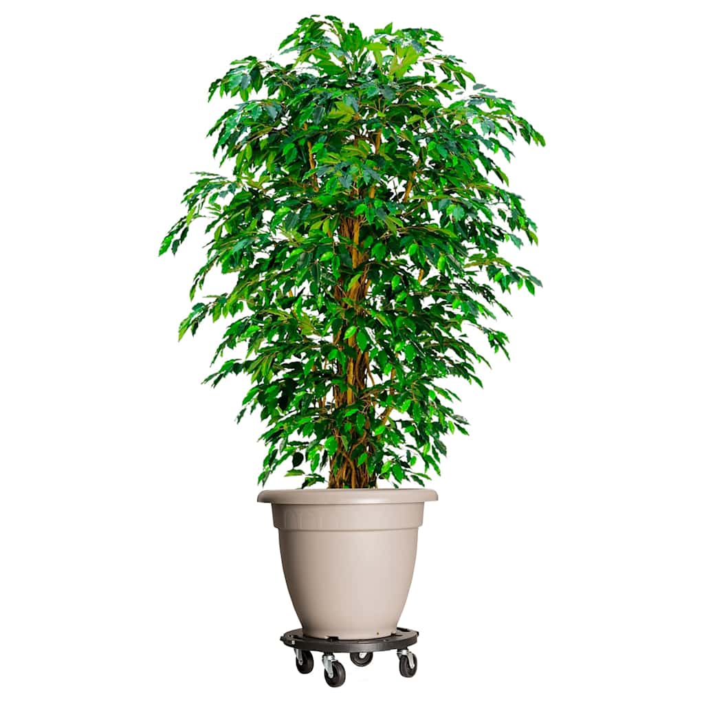 vidaXL Plant Trolleys with Wheels 3 pcs Diameter 40 cm Black 275 kg