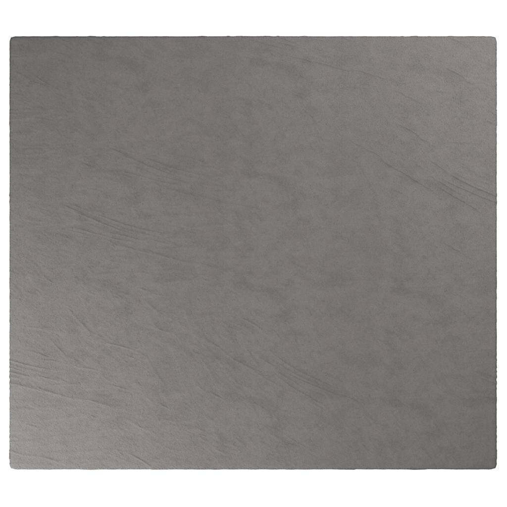 vidaXL Weighted Blanket With Cover | Grey