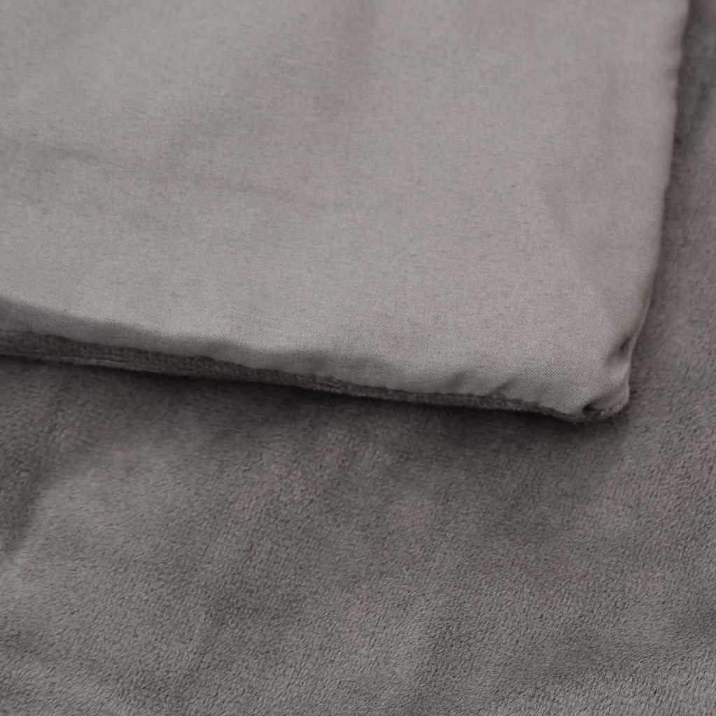 vidaXL Weighted Blanket With Cover | Grey